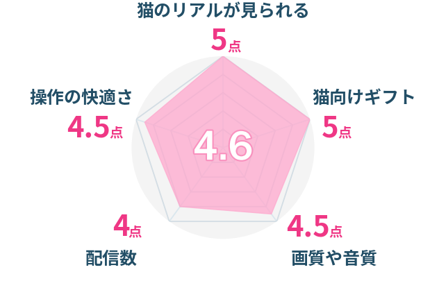 レーダーチャート